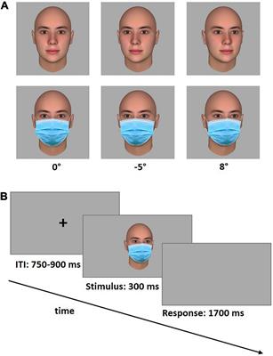 Face masks have a limited effect on the feeling of being looked at